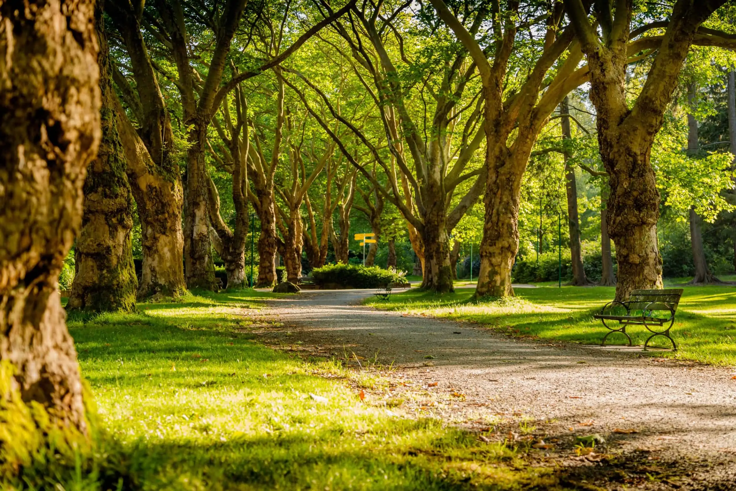The Best Parks in Toronto: Parks You Must Visit The Best Parks in Toronto: Parks You Must Visit
