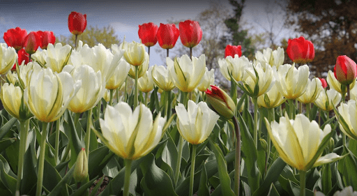 10 Must-Try Sunday Activities In Toronto 4 unnamed 7