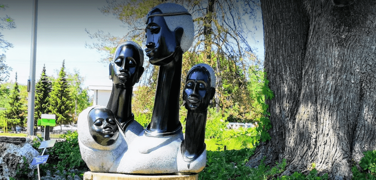 Don’t Miss The Fun At These 10 Toronto Weekend Activities 2 toronto botanical garden