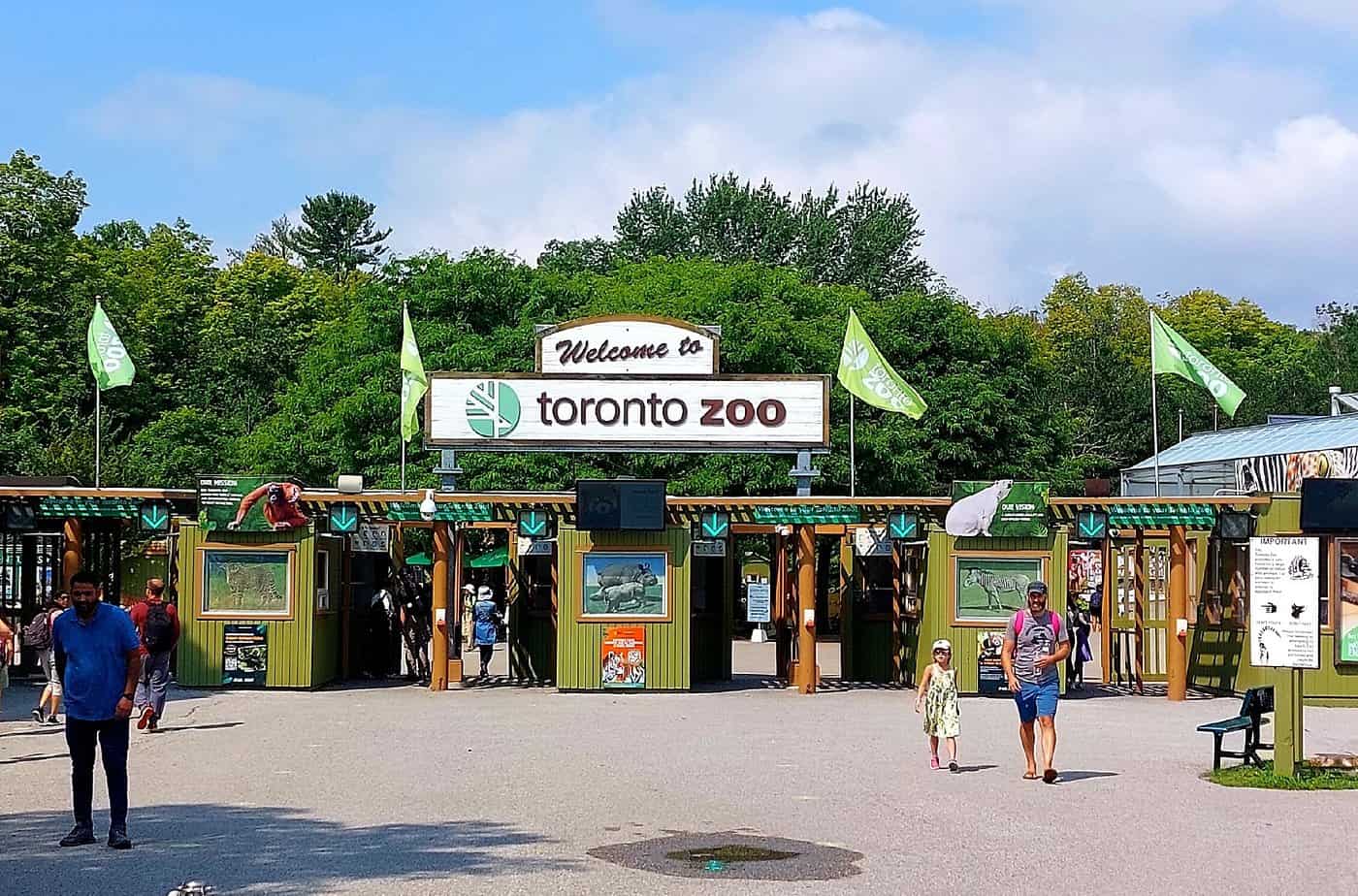 Fun Things to Do in Toronto: The Ultimate Guide 20 Toronto Zoo