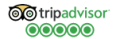 tripadvisor